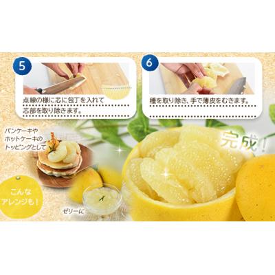 ふるさと納税 香南市 【訳あり】文旦 10kg 家庭用 10キロ 土佐文旦 柑橘系 果物 柑橘類 フルーツ yk-0070 |  | 03