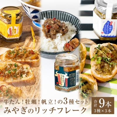 ふるさと納税 石巻市 リッチフレーク セット 3セット 9本 牛たん 牡蠣 帆立 ガーリックペッパー ガーリックバター