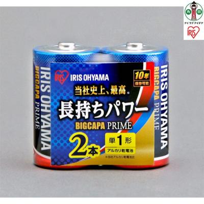 ふるさと納税 角田市 乾電池 BIGCAPA PRIME 単1形2本パック LR20BP/2P 12個セット