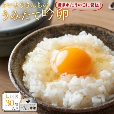 ふるさと納税 角田市 さいとうさんちのうみたて吟卵 30個入り