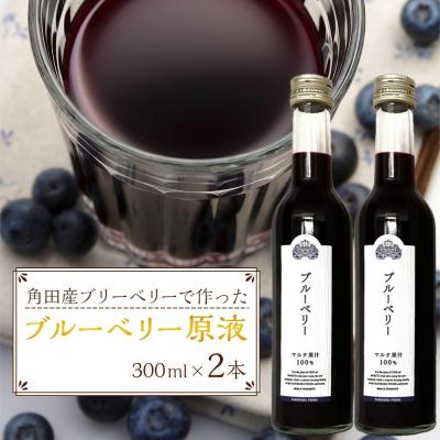 ふるさと納税 角田市 ブルーベリー原液 300ml×2本詰 : Yahoo!ふるさと