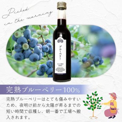 ふるさと納税 角田市 ブルーベリー原液 300ml×2本詰 : Yahoo!ふるさと