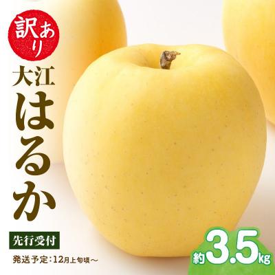 ふるさと納税 大江町 [先行受付]訳あり 大江はるか約3.5kg[2026年12月上旬〜発送予定] 015-060