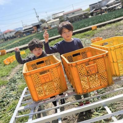 ふるさと納税 南あわじ市 【オニオン魂】 淡路島新たまねぎ 10kg ◆配送3月上旬〜の画像