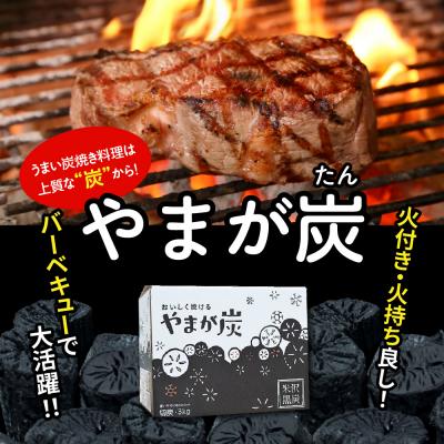 ふるさと納税 米沢市 やまが炭 3kg 米沢産 なら炭3kg/箱×1箱_1
