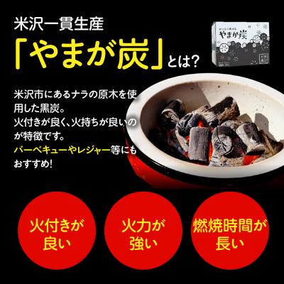 ふるさと納税 米沢市 やまが炭 3kg 米沢産 なら炭3kg/箱×1箱_2