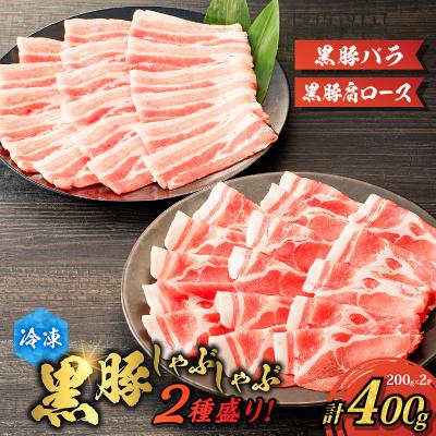 ふるさと納税 鹿児島市 【ご自宅用】黒豚しゃぶしゃぶ2種盛!　K151-005_01 | 
