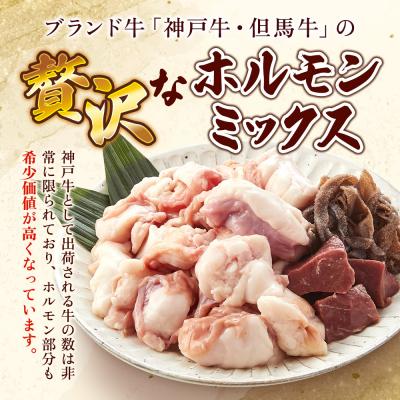 ふるさと納税 加西市 ヒライ牧場 ホルモンミックス 500g[No5698-2236] |  | 01