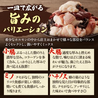 ふるさと納税 加西市 ヒライ牧場 ホルモンミックス 500g[No5698-2236] |  | 02