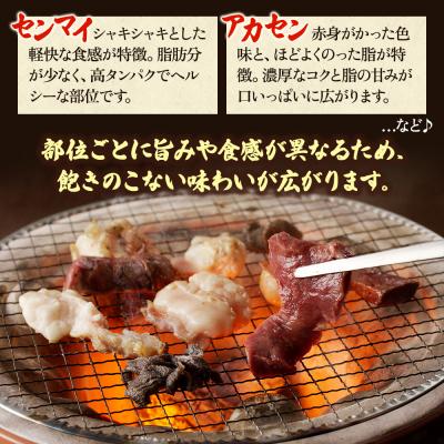 ふるさと納税 加西市 ヒライ牧場 ホルモンミックス 500g[No5698-2236] |  | 03