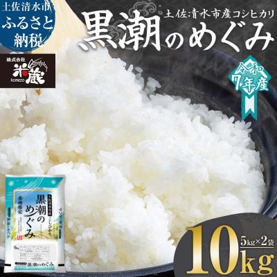 ふるさと納税 土佐清水市 先行 8月〜 米 コシヒカリ 令和7年産 ふるさと納税 土佐清水市 先行 8月〜 米 コシヒカリ 令和7年産