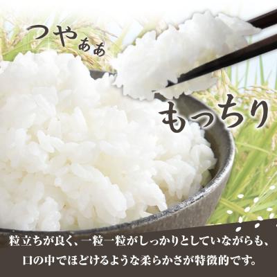 ふるさと納税 土佐清水市 先行 8月〜 米 コシヒカリ 令和7年産 ふるさと納税 土佐清水市 先行 8月〜 米 コシヒカリ 令和7年産