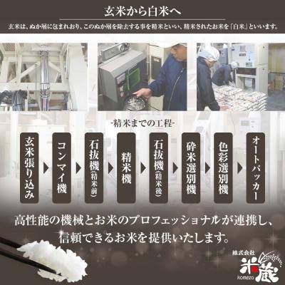 ふるさと納税 土佐清水市 先行 8月〜 米 コシヒカリ 令和7年産 ふるさと納税 土佐清水市 先行 8月〜 米 コシヒカリ 令和7年産