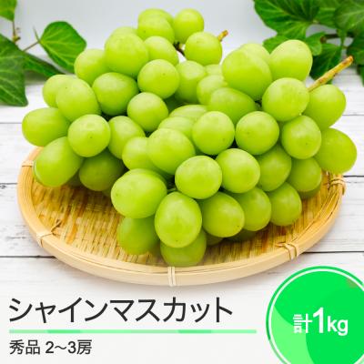ふるさと納税 大石田町 ぶどう シャインマスカット 令和7年産 2025年産 葡萄 約1kg 2~3房 山形県産