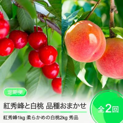 ふるさと納税 大石田町 [2回定期便]さくらんぼ 紅秀峰 1kg 柔らかめの白桃 2kg 品種おまかせ 令和8年産