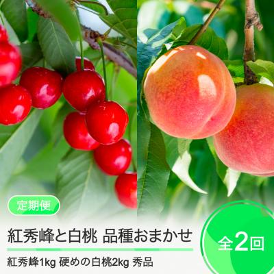 ふるさと納税 大石田町 [2回定期便]さくらんぼ 紅秀峰1kg 硬めの白桃2kg 品種おまかせ 令和8年産