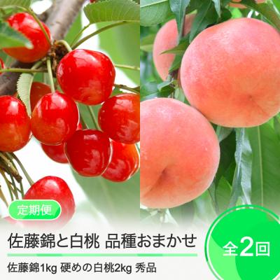 ふるさと納税 大石田町 [2回定期便]さくらんぼ 佐藤錦1kg 硬めの白桃2kg 品種おまかせ 令和8年産