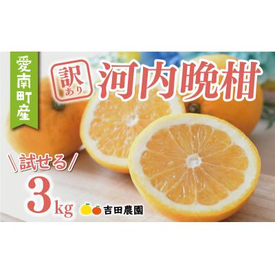 ふるさと納税 愛南町 訳あり 河内晩柑 3kg 数量限定 お試し用 みかん 吉田農園 愛南町 愛媛県