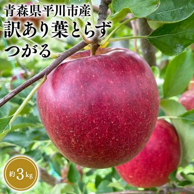 ふるさと納税 平川市 8月下旬〜発送 訳あり 葉取らずつがる約3kg(家庭用)[なるみ農園・平川市産・数量限定]