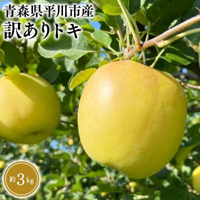 ふるさと納税 平川市 9月中旬〜発送 訳あり トキ約3kg(家庭用)[なるみ農園・青森りんご・平川市産・数量限定]