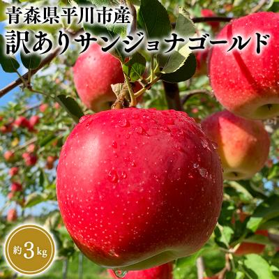 ふるさと納税 平川市 10月中旬〜発送 訳あり サンジョナゴールド約3kg(家庭用)[なるみ農園・数量限定]