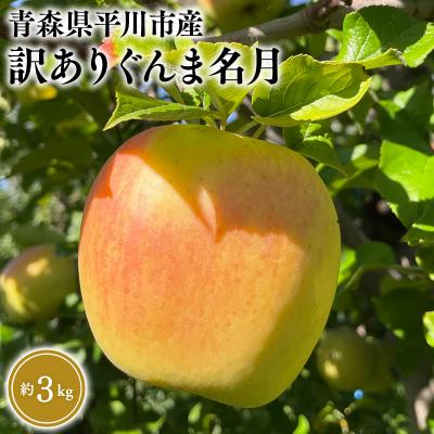 ふるさと納税 平川市 10月下旬〜発送 訳あり ぐんま名月約3kg(家庭用)[なるみ農園・数量限定]