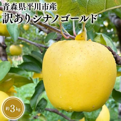 ふるさと納税 平川市 12月上旬〜発送 訳あり シナノゴールド約3kg(家庭用)[なるみ農園・数量限定]