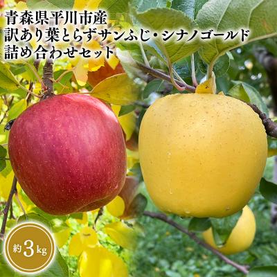 ふるさと納税 平川市 12月上旬〜発送 訳あり 葉とらずサンふじ・シナノゴールド詰め合わせ約3kg[なるみ農園]