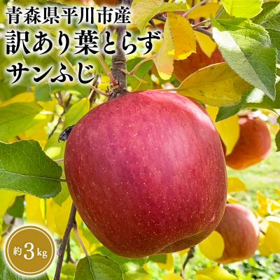 ふるさと納税 平川市 12月中旬〜発送 訳あり 葉取らずサンふじ約3kg(家庭用)[なるみ農園・数量限定]