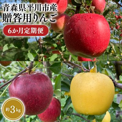 ふるさと納税 平川市 8月下旬〜発送 贈答用りんご 6か月定期便約3kg[なるみ農園・数量限定]