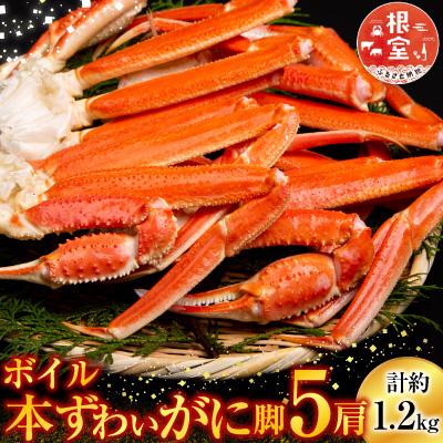 ふるさと納税 根室市 ボイル本ずわいがに脚5肩(計約1.2kg) A-28248