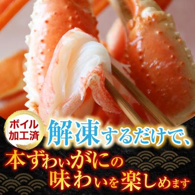 ふるさと納税 根室市 ボイル本ずわいがに脚5肩(計約1.2kg) A-28248 |  | 01