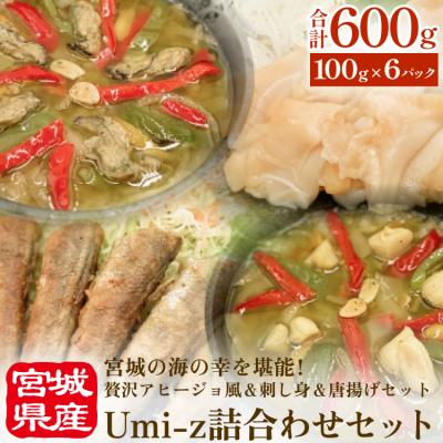 ふるさと納税 石巻市 Umi-Zu詰合わせセット 冷凍 海鮮 魚介 牡蠣 帆立 つぶ 貝 目光 アヒージョ 刺身 唐揚げ