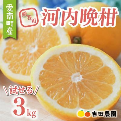 ふるさと納税 愛南町 数量限定 先行受付 贈答用 河内晩柑 3kg みかん 国産 吉田農園 愛南町 愛媛県