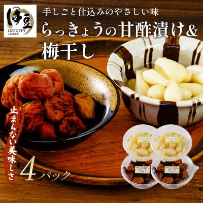 ふるさと納税 伊豆市 [数量限定]梅干し(160g×2パック)&amp;らっきょうの甘酢漬け(130g×2パック)