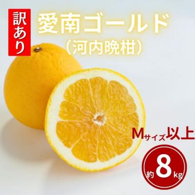 ふるさと納税 愛南町 訳あり 愛南ゴールド 約8kg 河内晩柑 Mサイズ以上 和家農園