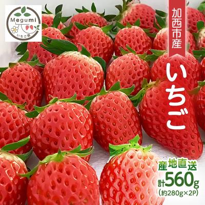 ふるさと納税 加西市 いちご 2パック 兵庫県 加西市 [No5698-2211]