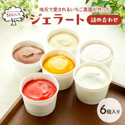 ふるさと納税 加西市 ジェラート 6個 6種 詰め合わせ アイス アイスクリーム [No5698-1394]