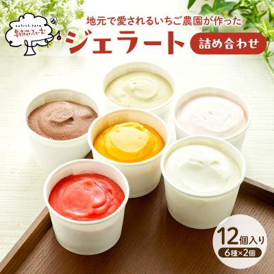 ふるさと納税 加西市 ジェラート 12個 12種 詰め合わせ アイス アイスクリーム [No5698-1395]