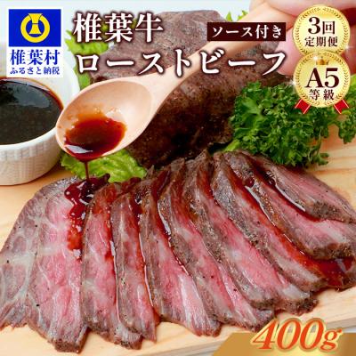 ふるさと納税 椎葉村 [定期便]3回定期便 宮崎県産 椎葉牛 ローストビーフ[400g](100g×4P)TK-104