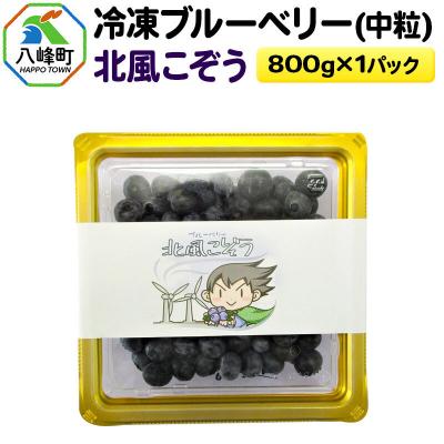 ふるさと納税 八峰町 冷凍ブルーベリー(中粒)「北風こぞう」 約800g×1パック|16_aog-020101