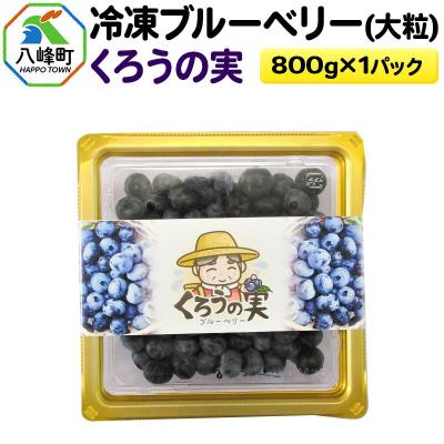 ふるさと納税 八峰町 冷凍ブルーベリー(大粒)「くろうの実」 約800g×1パック|16_aog-030101
