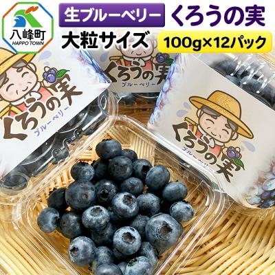 ふるさと納税 八峰町 生ブルーベリー(大粒)「くろうの実」 約100g×12パック|16_aog-051201