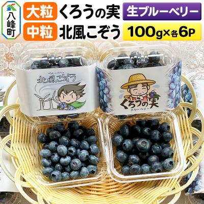 ふるさと納税 八峰町 生ブルーベリー(大粒)「くろうの実」&amp;(中粒)「北風こぞう」セット|16_aog-060601