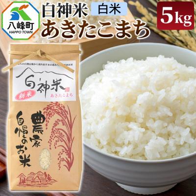 ふるさと納税 八峰町 白神米 あきたこまち 秋田県産 5kg[白米]令和7年産|16_ksy-090501