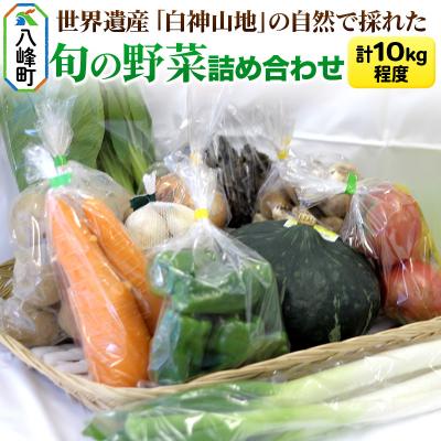 ふるさと納税 八峰町 世界遺産「白神山地」の自然で採れた旬の野菜詰め合わせ|16_orh-080101