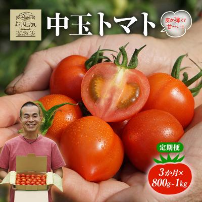 ふるさと納税 加西市 [3ヶ月連続]よしよし畑のあま〜い トマト ( 中玉トマト ) 計約3kg[No5698-1625]