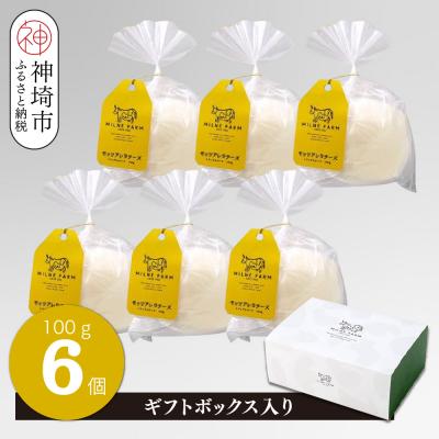ふるさと納税 神埼市 ミルン牧場のモッツアレラチーズ 100g×6個(H102147)