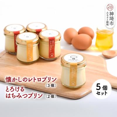 ふるさと納税 神埼市 [えこびと]懐かしのレトロプリン・とろけるはちみつプリン5個セット(H037138)