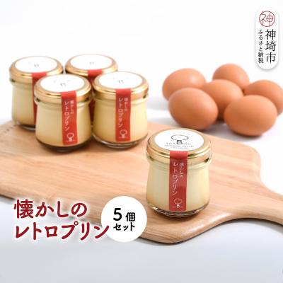 ふるさと納税 神埼市 えこびとの懐かしのレトロプリン5個セット(H037139)